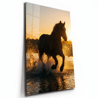 Poster métal cheval au galop dans l'eau au coucher du soleil, plaque aluminium brillante vue de trois quarts