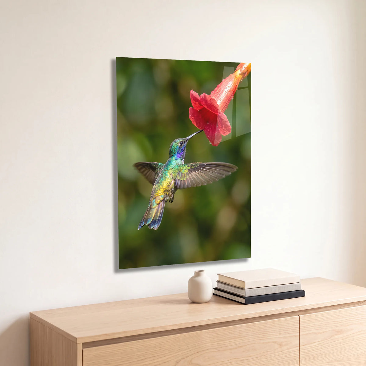 Poster métal colibri en vol devant une fleur rouge accroché au-dessus d'un canapé dans un salon