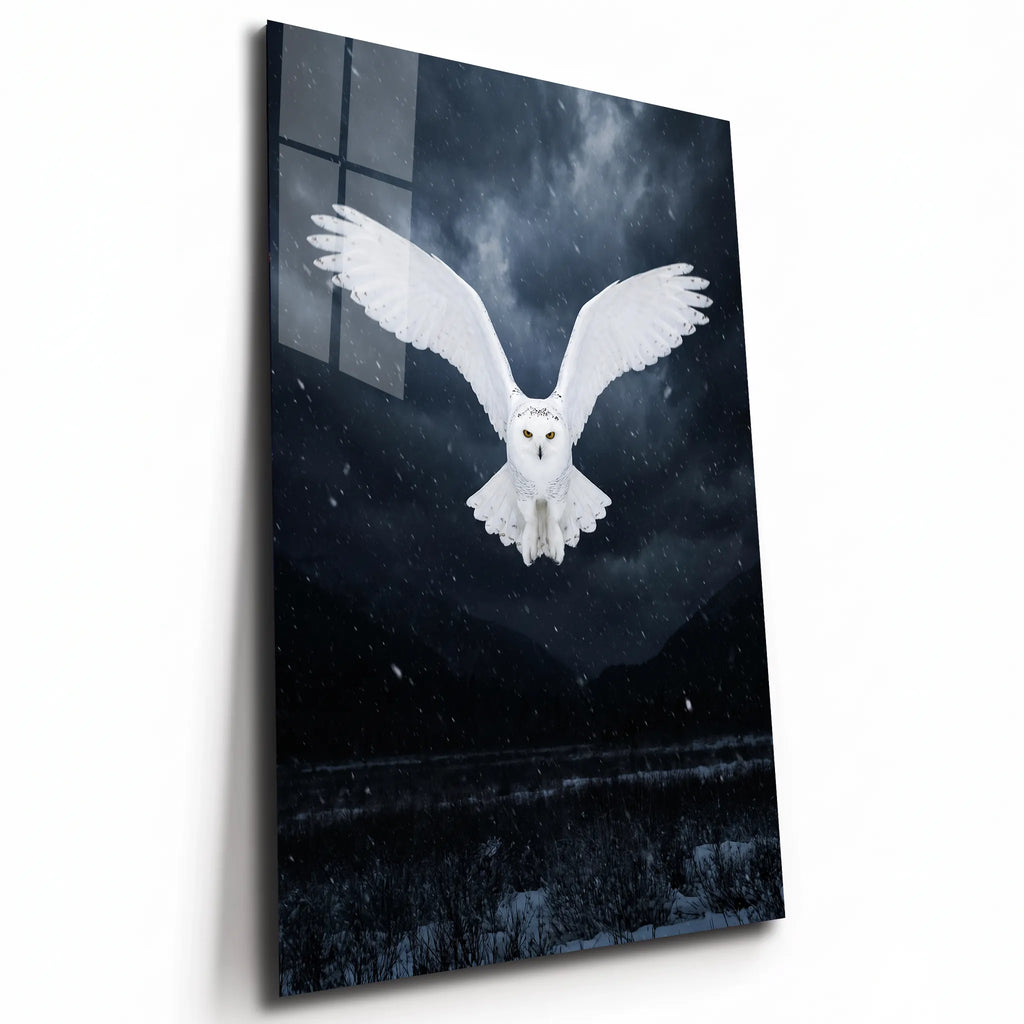 Poster métal harfang des neiges en vol dans la nuit, plaque aluminium brillante vue de trois quarts