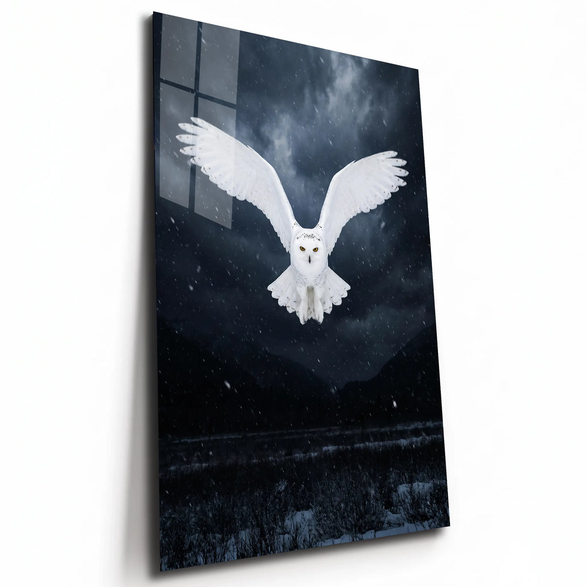 Poster métal harfang des neiges en vol dans la nuit, plaque aluminium brillante vue de trois quarts