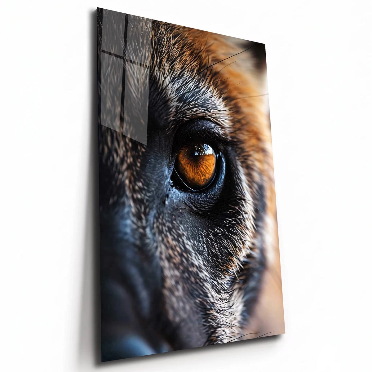 Poster métal œil de hyène en gros plan, plaque aluminium brillante vue de trois quarts