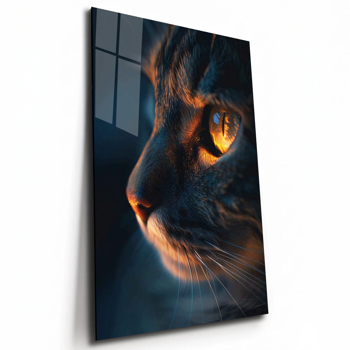 Poster métal œil de chat dans la pénombre, plaque aluminium brillante vue de trois quarts