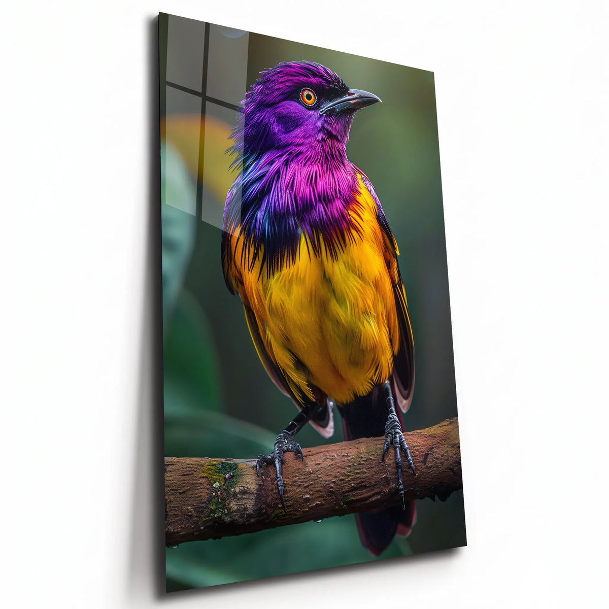 Poster métal oiseau d'Afrique violet et jaune, plaque aluminium brillante vue de trois quarts